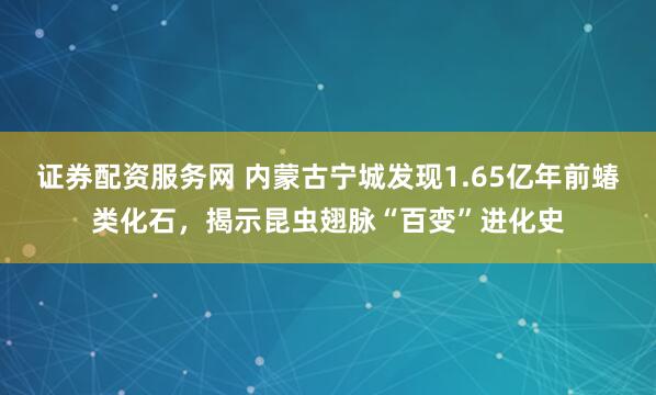 证券配资服务网 内蒙古宁城发现1.65亿年前蝽类化石，揭示昆虫翅脉“百变”进化史